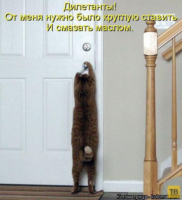 ������ ����������� ������, ����� 14 (50 ����)