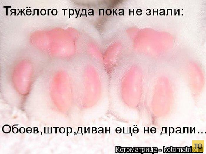 ������ ����������� ������, ����� 14 (50 ����)