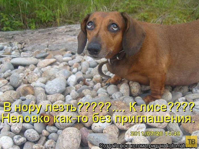 ������ ����������� ������, ����� 14 (50 ����)