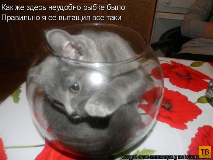 ������ ����������� ������, ����� 14 (50 ����)