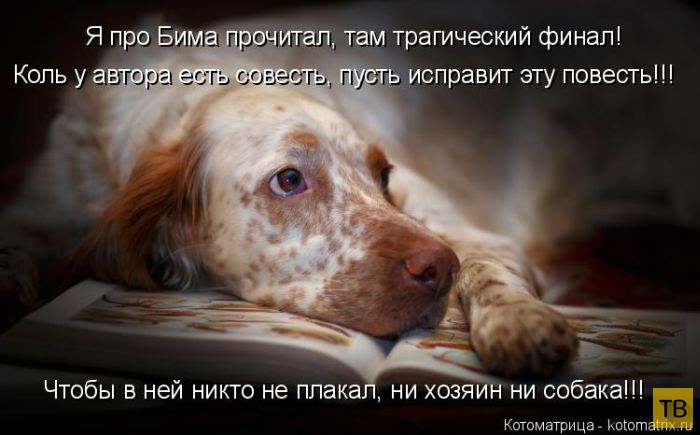 ������ ����������� ������, ����� 14 (50 ����)