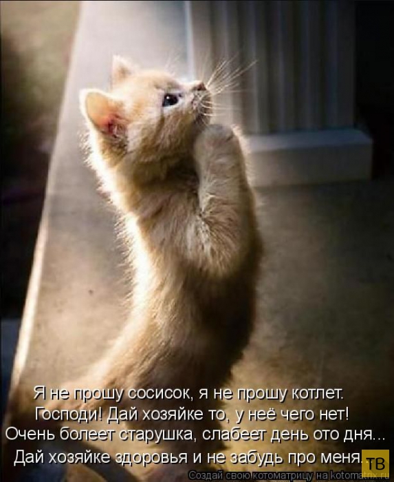 ������ ����������� ������, ����� 14 (50 ����)