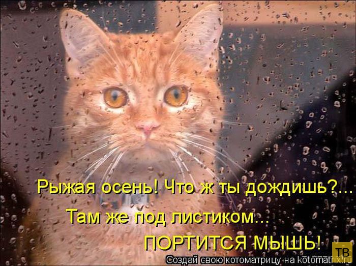 ������ ����������� ������, ����� 14 (50 ����)