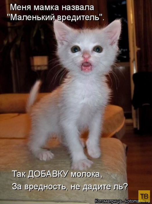 ������ ����������� ������, ����� 14 (50 ����)