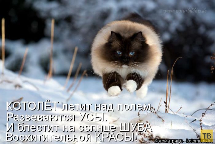 ������ ����������� ������, ����� 14 (50 ����)