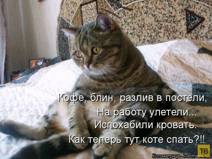 ������ ����������� ������, ����� 14 (50 ����)