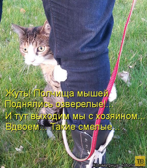 ������ ����������� ������, ����� 14 (50 ����)