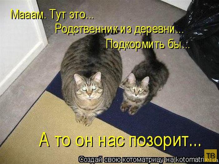 ������ ����������� ������, ����� 14 (50 ����)