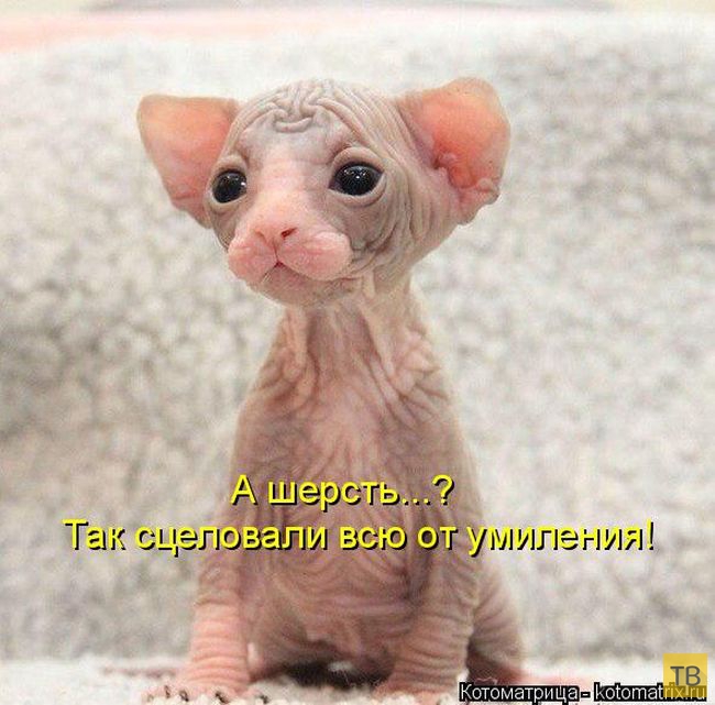 ������ ����������� ������, ����� 14 (50 ����)