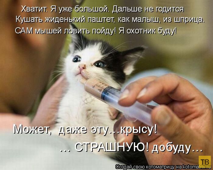 ������ ����������� ������, ����� 14 (50 ����)