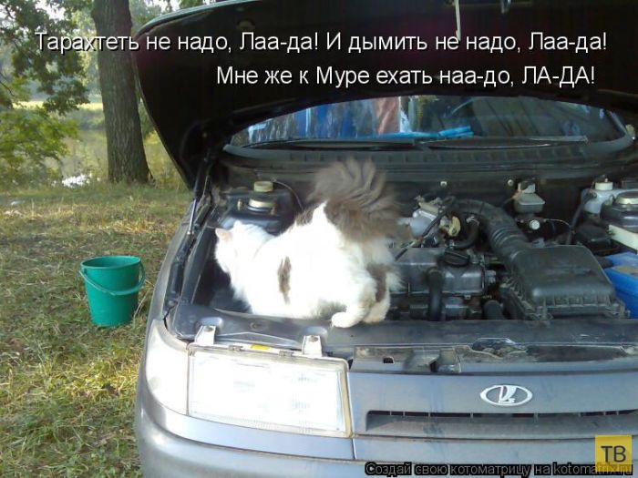 ������ ����������� ������, ����� 14 (50 ����)