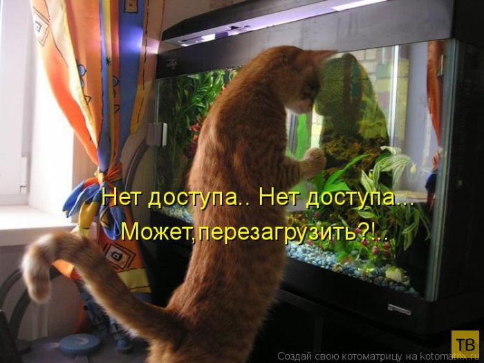 ������ ����������� ������, ����� 14 (50 ����)