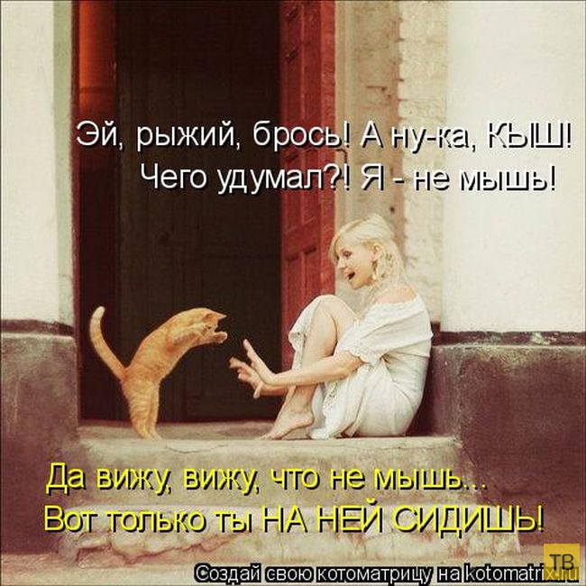 ������ ����������� ������, ����� 14 (50 ����)