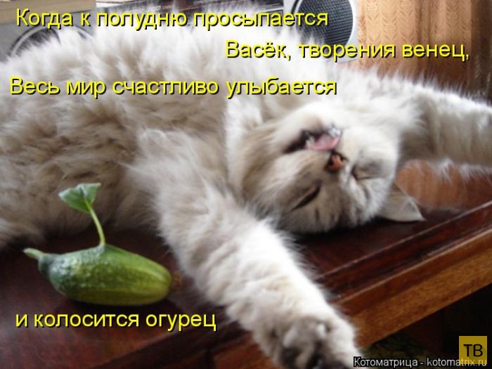 ������ ����������� ������, ����� 14 (50 ����)