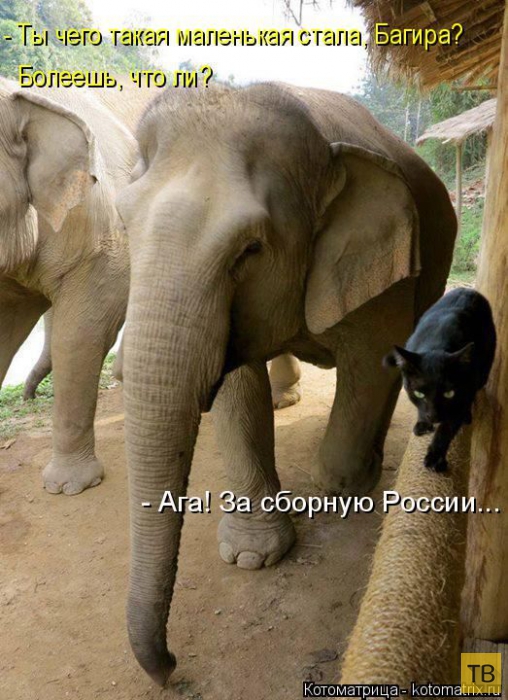 ������ ����������� ������, ����� 14 (50 ����)