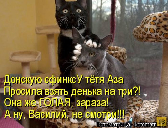 ������ ����������� ������, ����� 14 (50 ����)