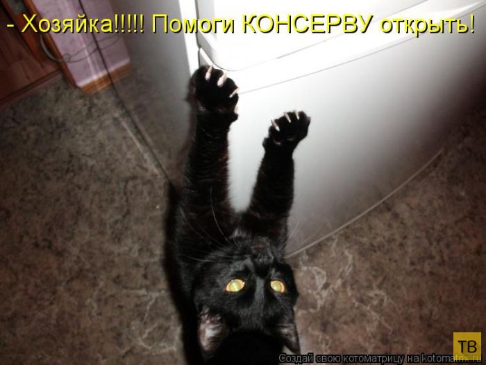 ������ ����������� ������, ����� 14 (50 ����)