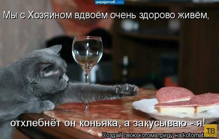 ������ ����������� ������, ����� 14 (50 ����)