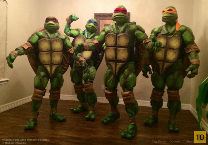 ������� �� �������� 2014 (31 ����)