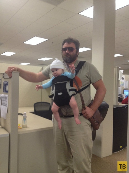 ������� �� �������� 2014 (31 ����)