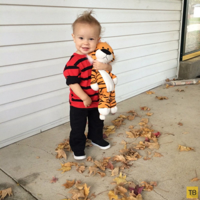 ������� �� �������� 2014 (31 ����)