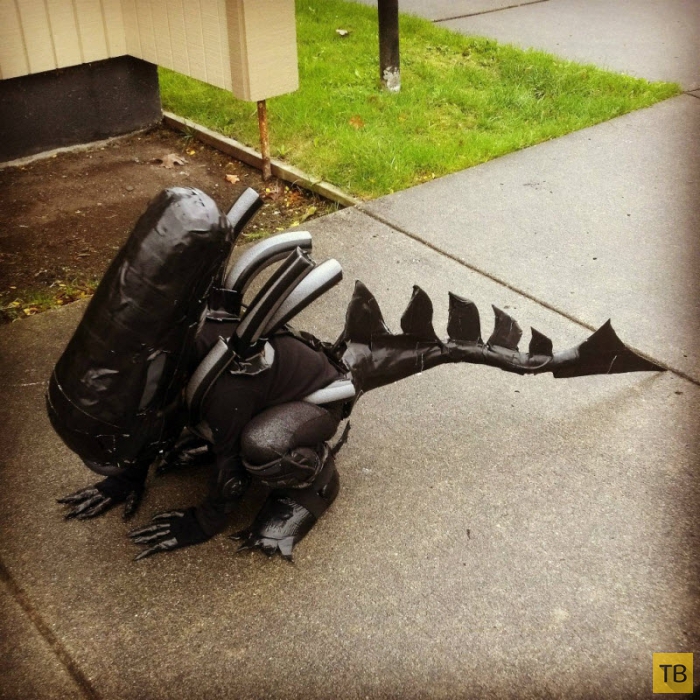 ������� �� �������� 2014 (31 ����)