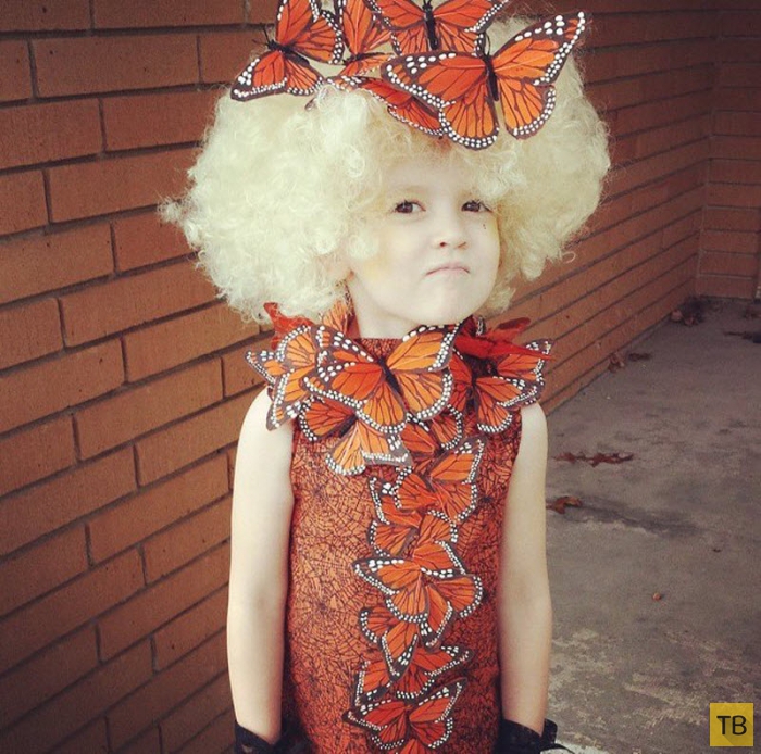 ������� �� �������� 2014 (31 ����)