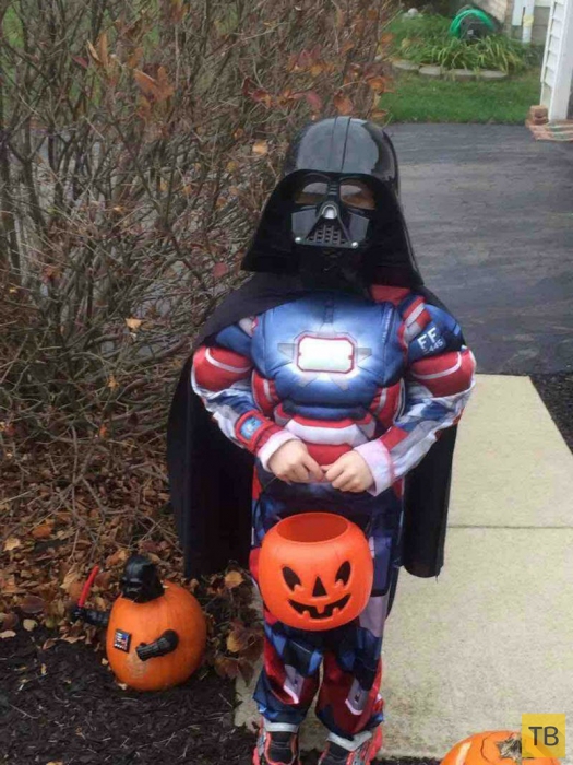 ������� �� �������� 2014 (31 ����)