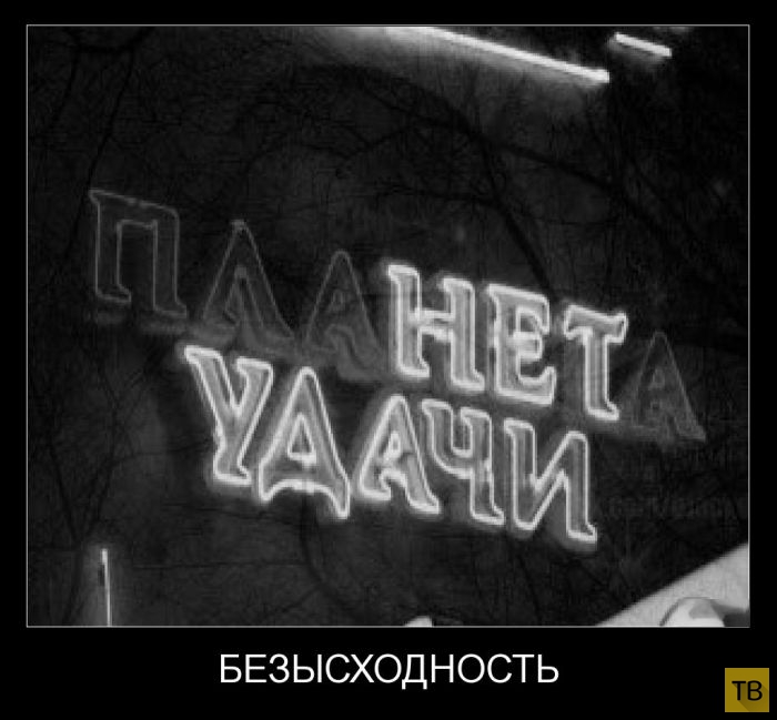 Подборка демотиваторов 05. 11. 2014 (32 фото)