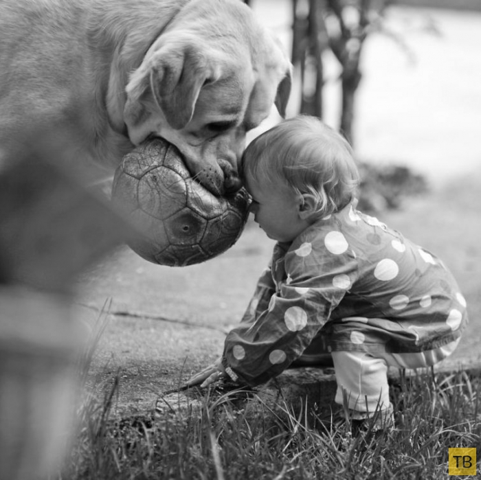 Милые фотографии с детьми и собаками, вызывающие положительные эмоции (26 фото)