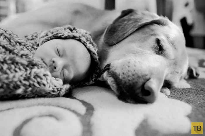 Милые фотографии с детьми и собаками, вызывающие положительные эмоции (26 фото)