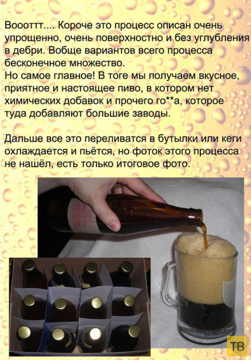 Отличный рецепт приготовления настоящего домашнего пива! (14 фото)