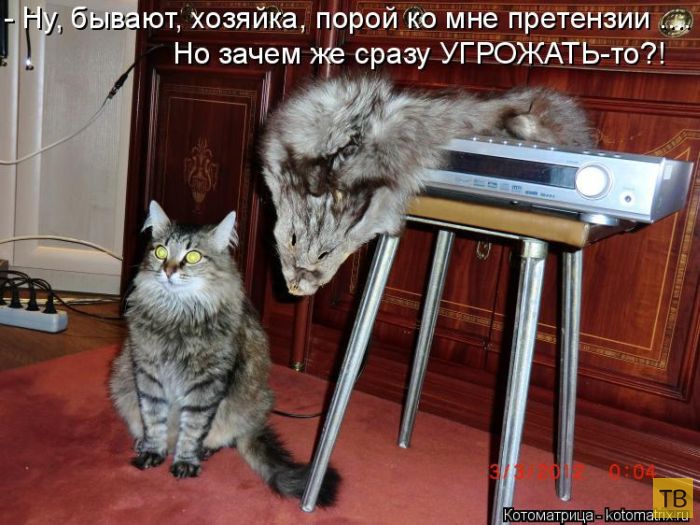 ������ ����������� ������, ����� 15 (50 ����)