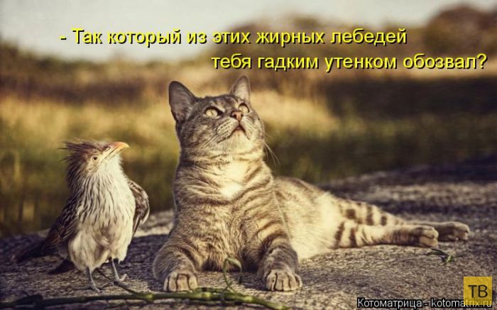 ������ ����������� ������, ����� 15 (50 ����)