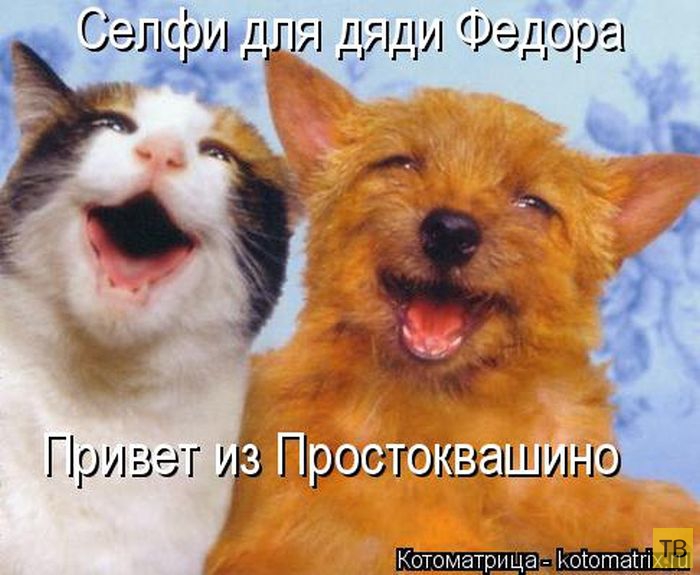 ������ ����������� ������, ����� 15 (50 ����)