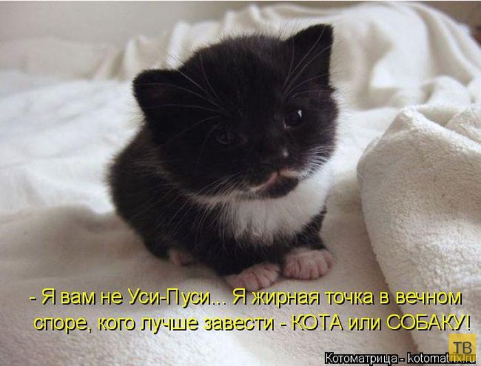 ������ ����������� ������, ����� 15 (50 ����)