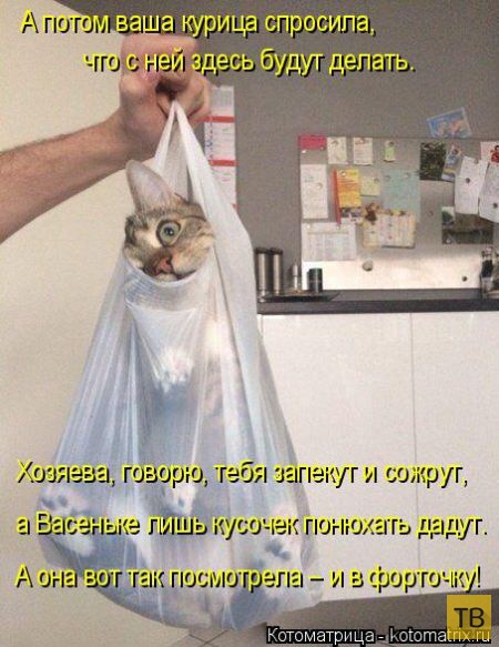 ������ ����������� ������, ����� 15 (50 ����)