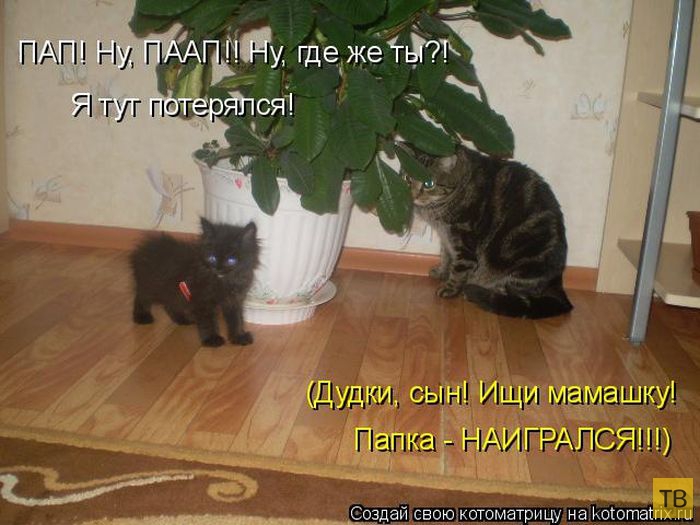 ������ ����������� ������, ����� 15 (50 ����)