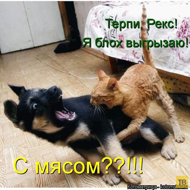 ������ ����������� ������, ����� 15 (50 ����)