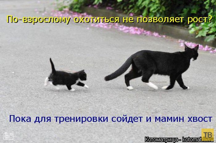 ������ ����������� ������, ����� 15 (50 ����)