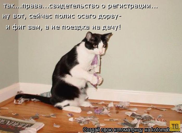 ������ ����������� ������, ����� 15 (50 ����)