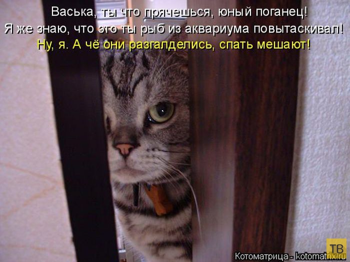 ������ ����������� ������, ����� 15 (50 ����)