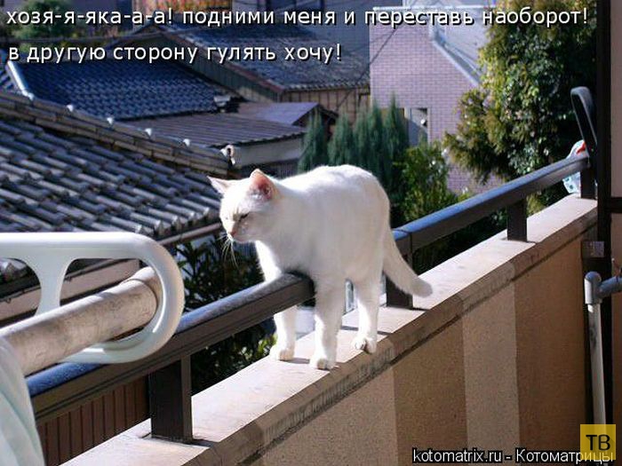 ������ ����������� ������, ����� 15 (50 ����)