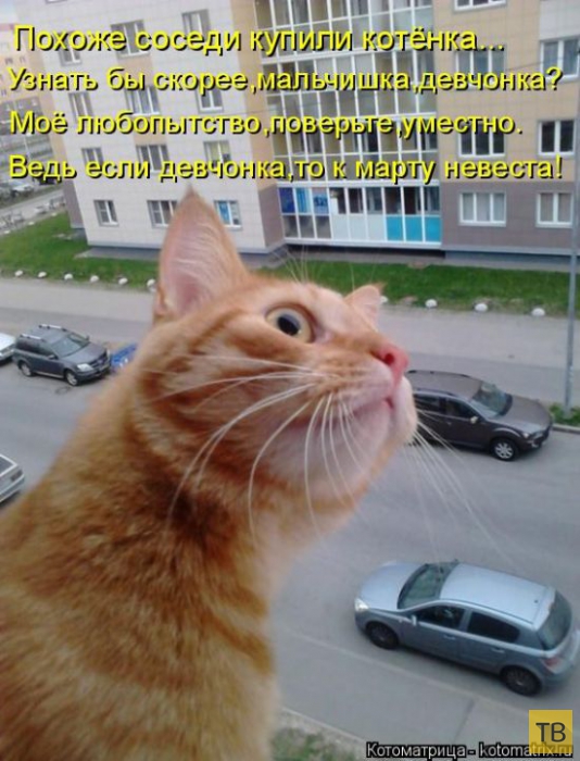 ������ ����������� ������, ����� 15 (50 ����)