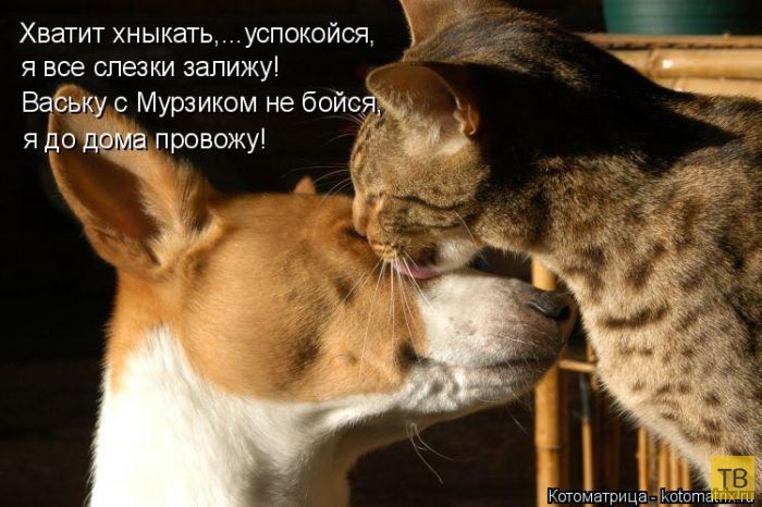 ������ ����������� ������, ����� 15 (50 ����)