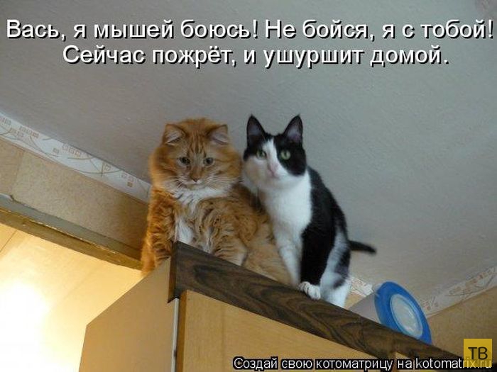 ������ ����������� ������, ����� 15 (50 ����)