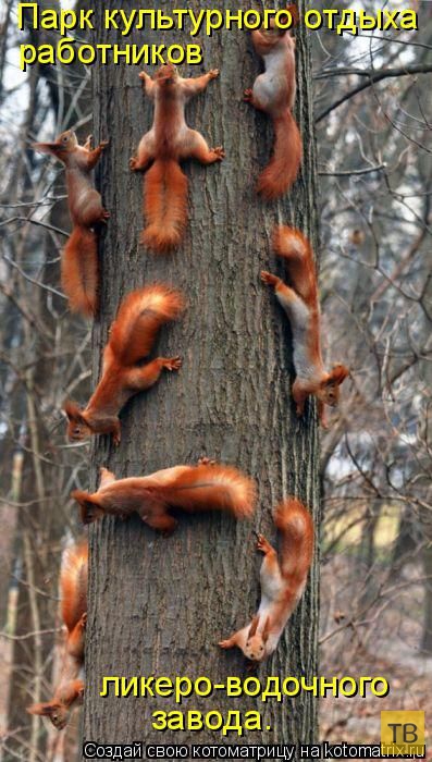 ������ ����������� ������, ����� 15 (50 ����)