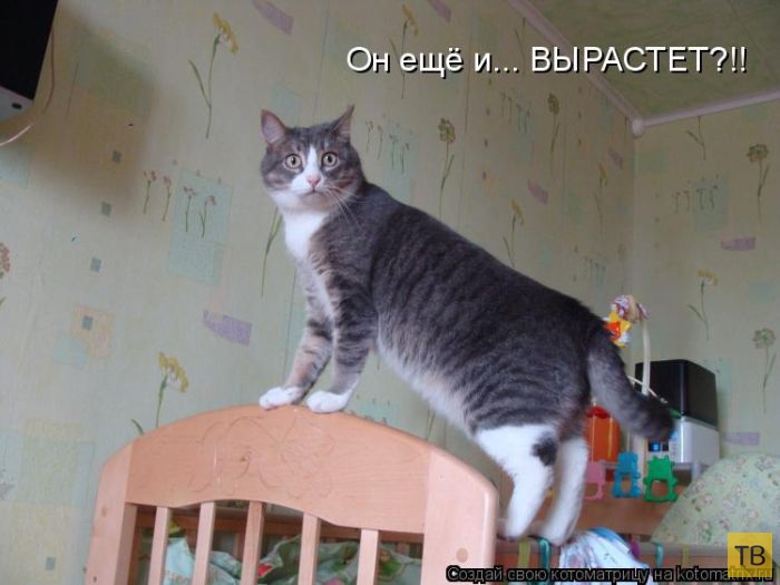 ������ ����������� ������, ����� 15 (50 ����)