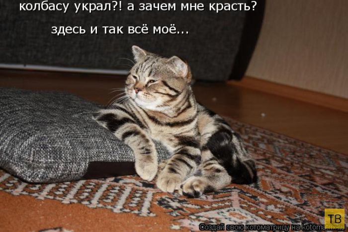 ������ ����������� ������, ����� 15 (50 ����)