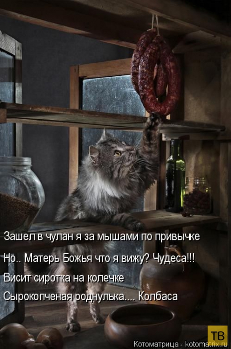 ������ ����������� ������, ����� 15 (50 ����)